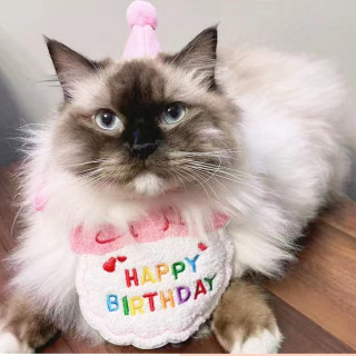ins風生日帽圍兜組
