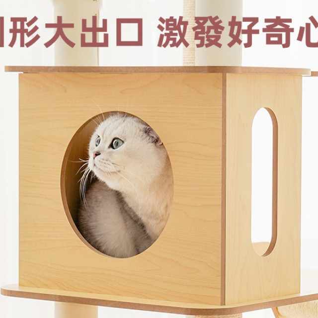 zeze極簡木質貓跳台