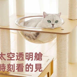 zeze極簡木質貓跳台