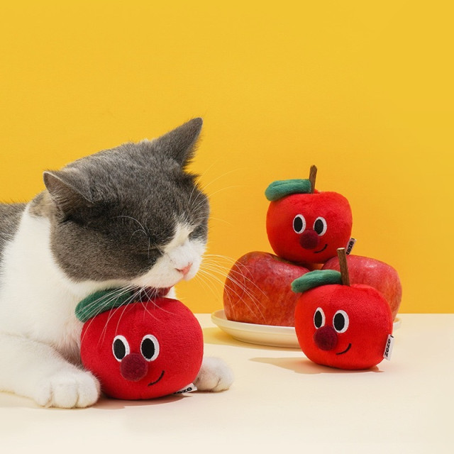 水果木天蓼玩具猫咪磨牙猫薄荷磨牙棒